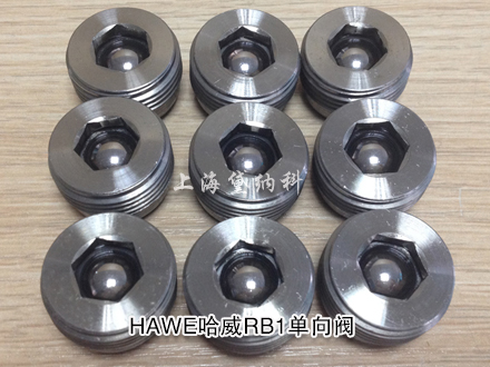 哈威RB1單向閥 哈威RB1單向閥